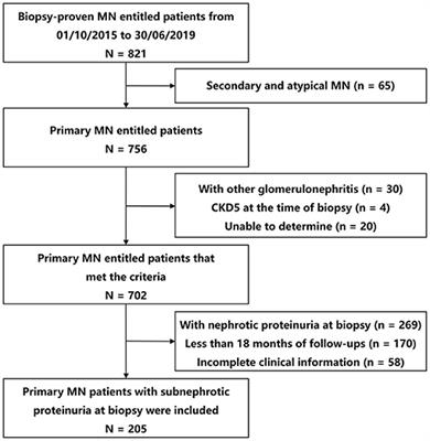 Clinical Outcomes of Patients With Primary Membranous Nephropathy and Subnephrotic Proteinuria